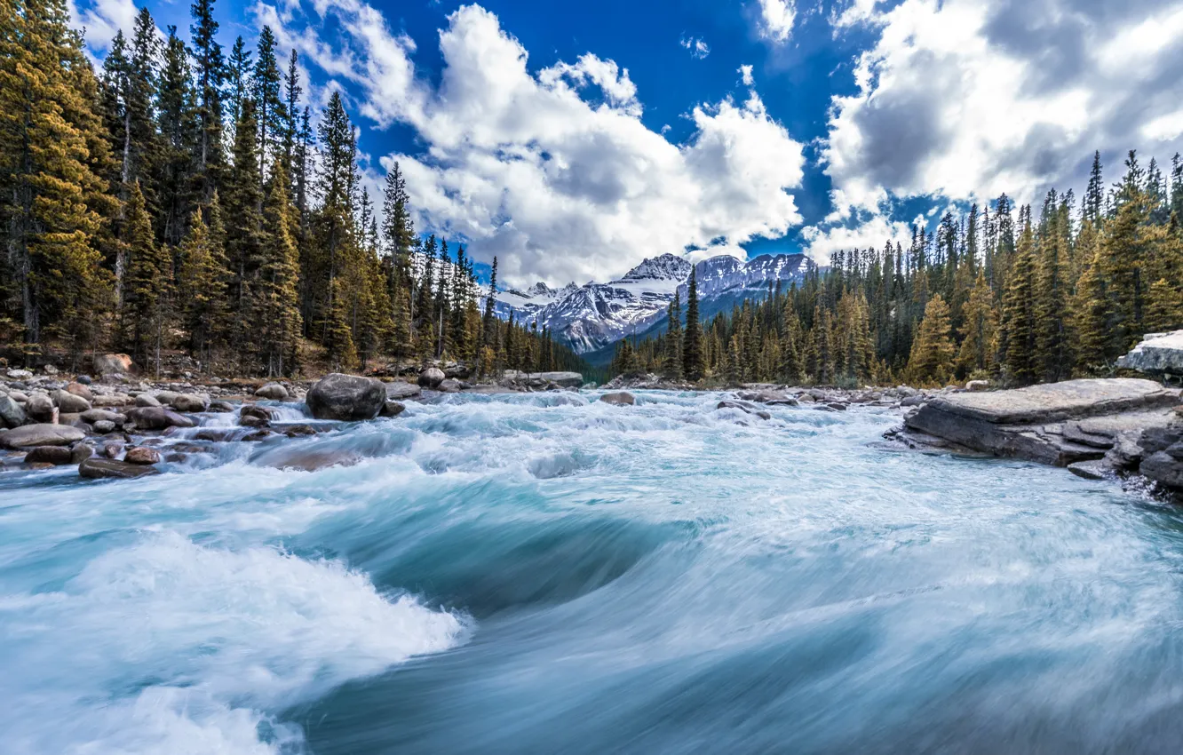Photo wallpaper forest, trees, mountains, river, stream, Canada, Canada, Canadian Rockies, Canadian Rockies
