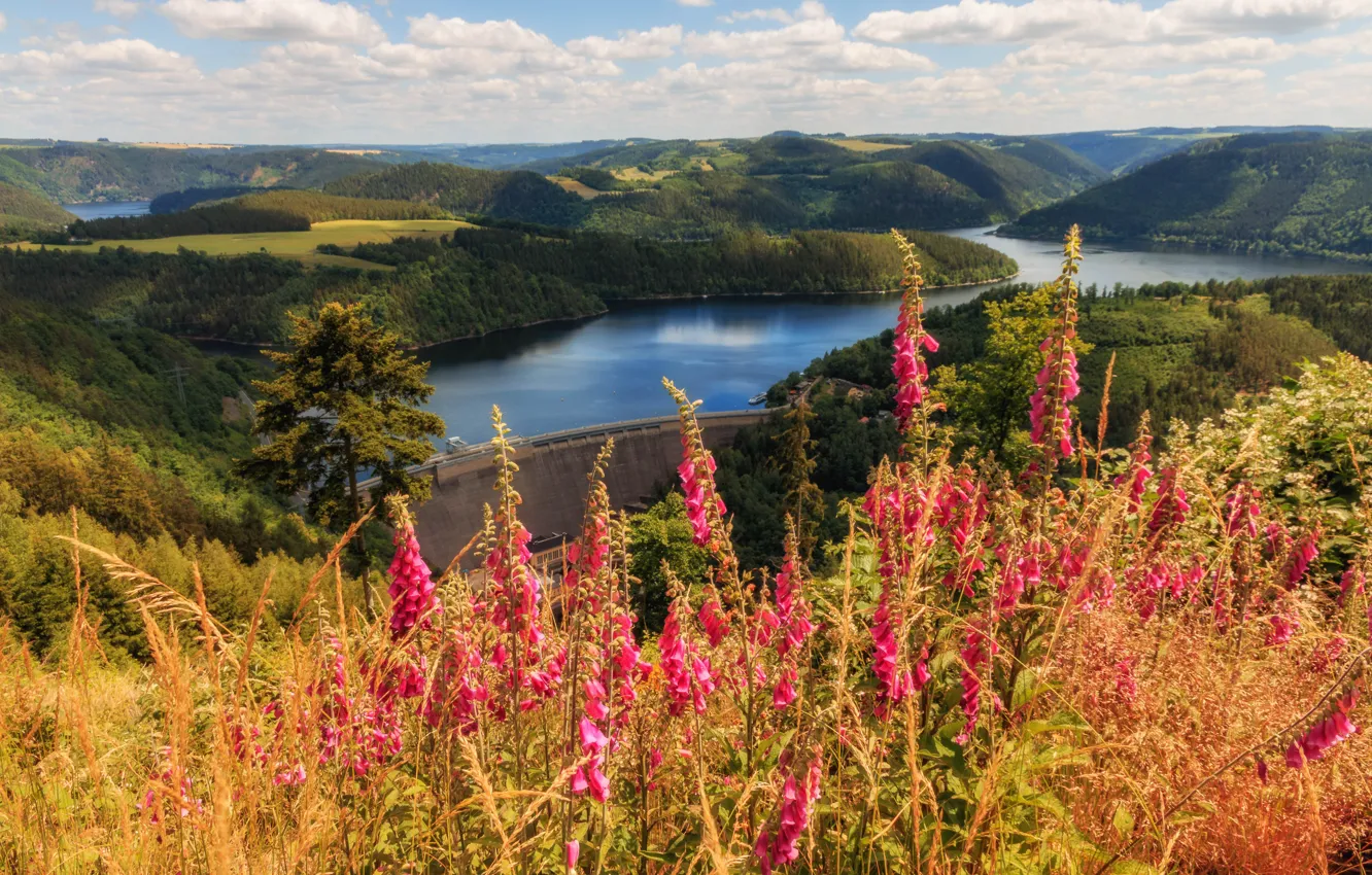 Photo wallpaper flowers, digitalis, shore, lake, hills
