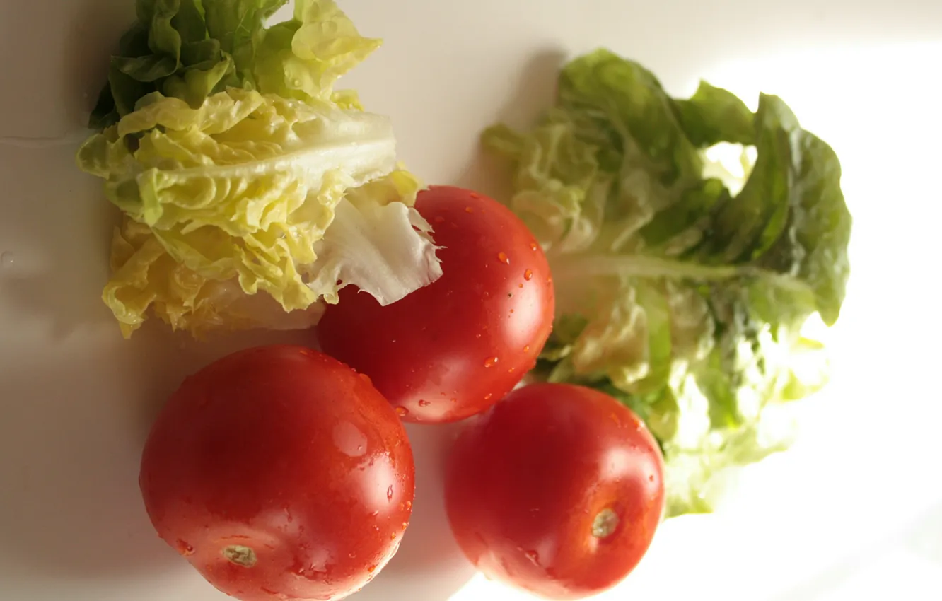 Photo wallpaper Tomatoes, Cabbage, Tomatoes
