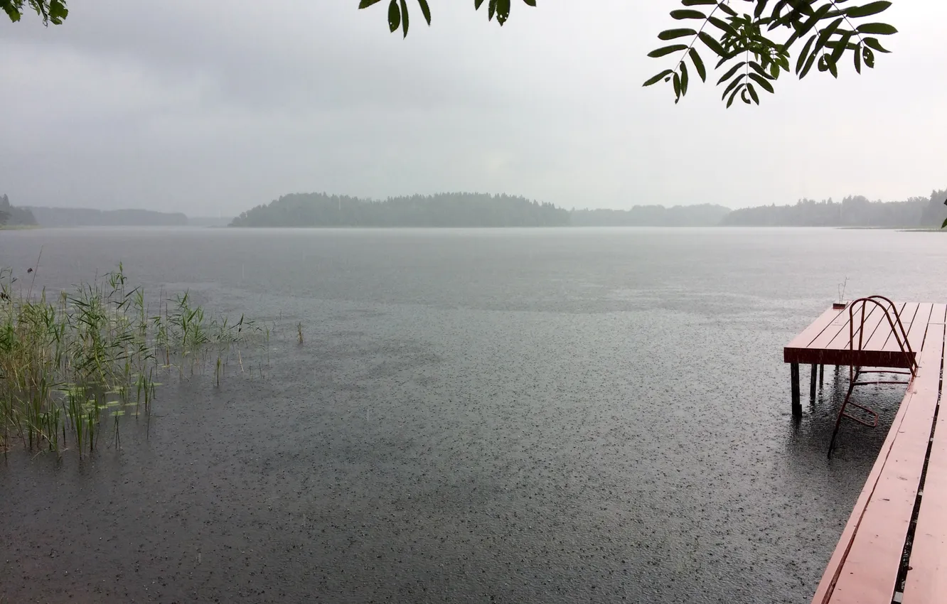 Photo wallpaper forest, the sky, landscape, clouds, nature, lake, rain, pier