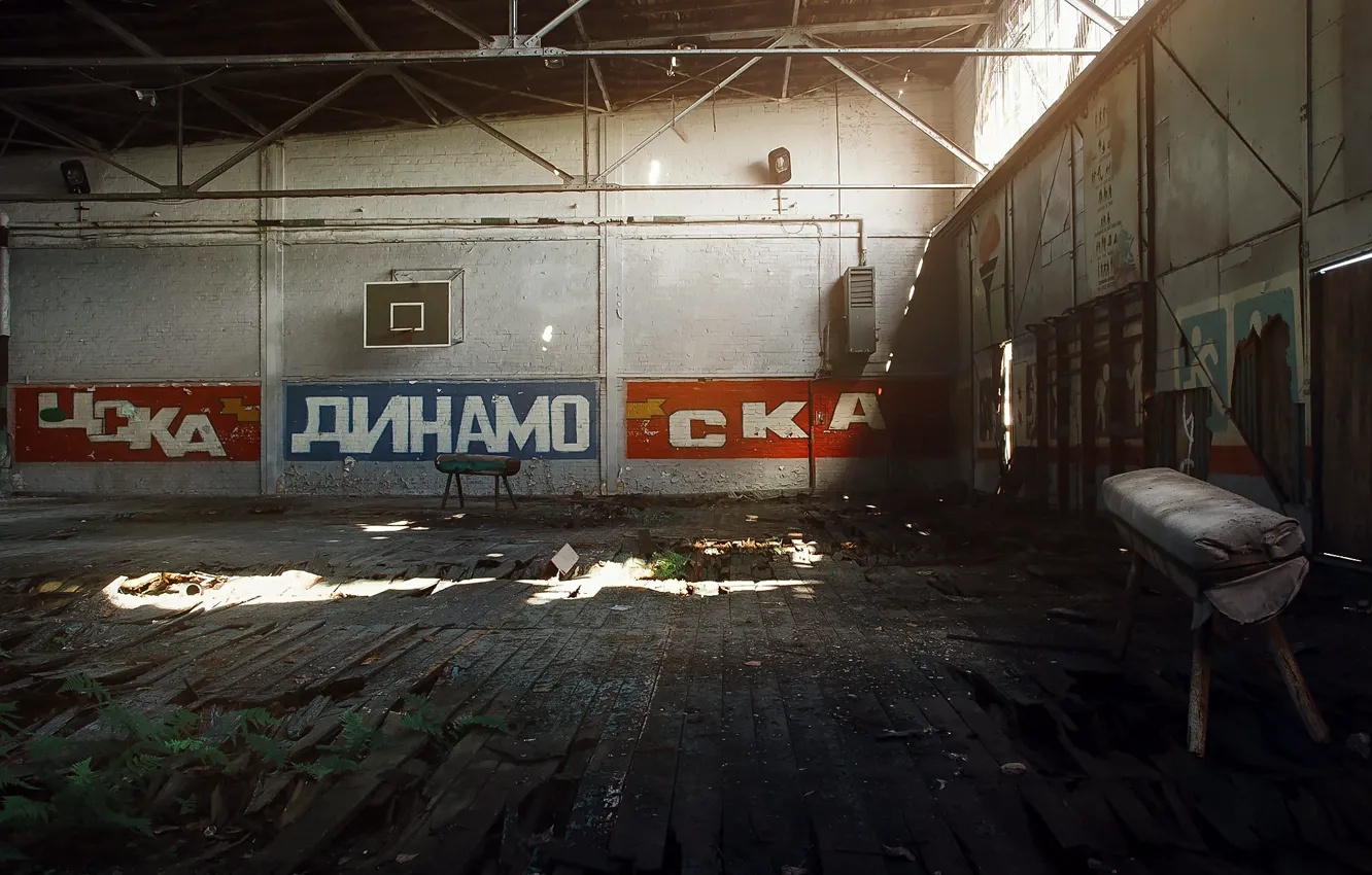 Photo wallpaper sport, hall, CSKA, Dynamo, ska