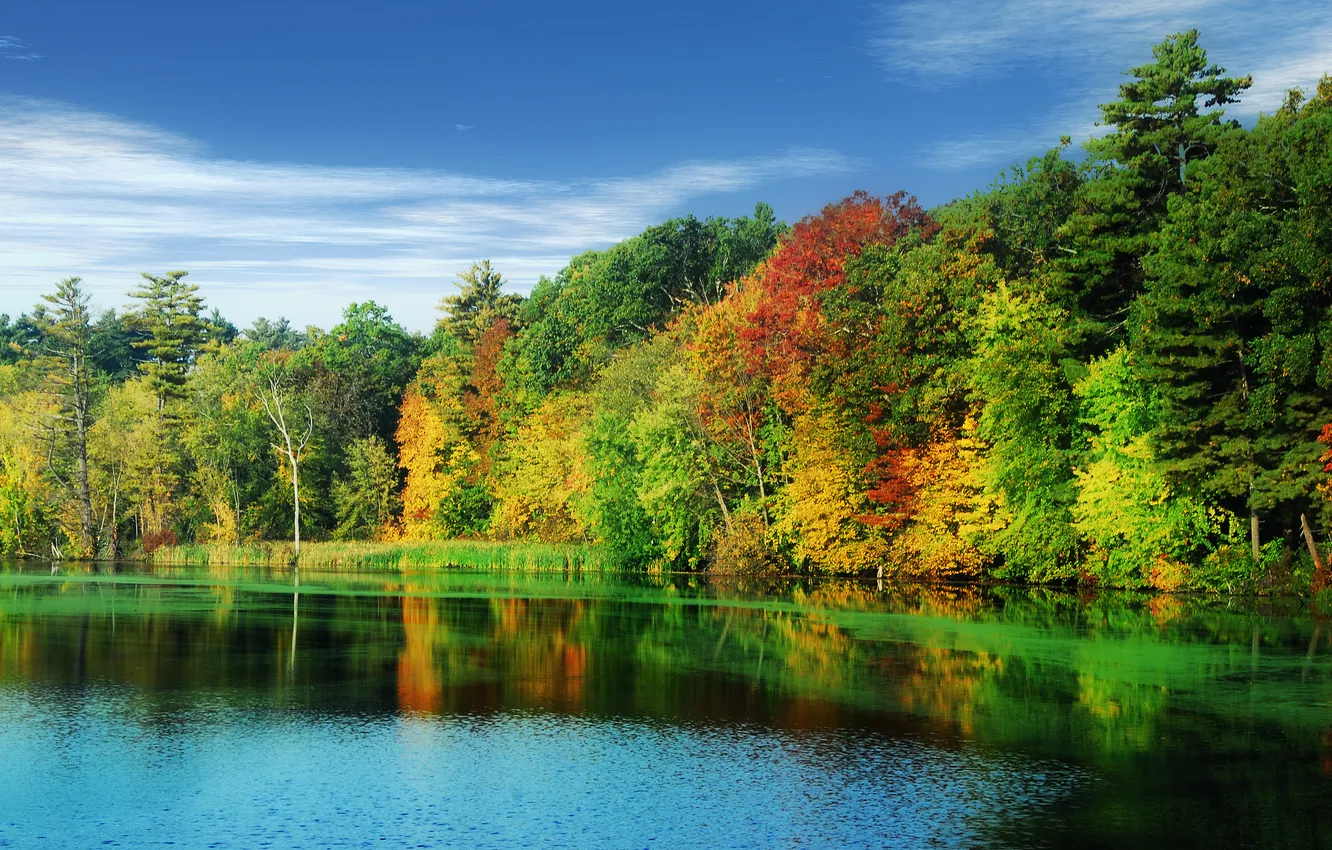 Photo wallpaper autumn, forest, the sky, clouds, trees, lake