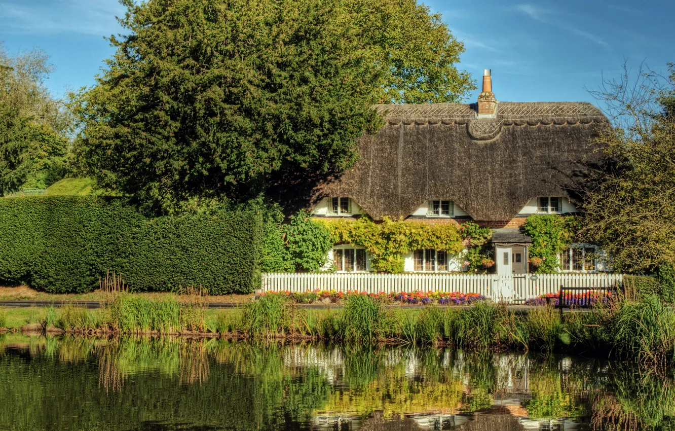 Photo wallpaper grass, trees, pond, the fence, home, garden, track, reed