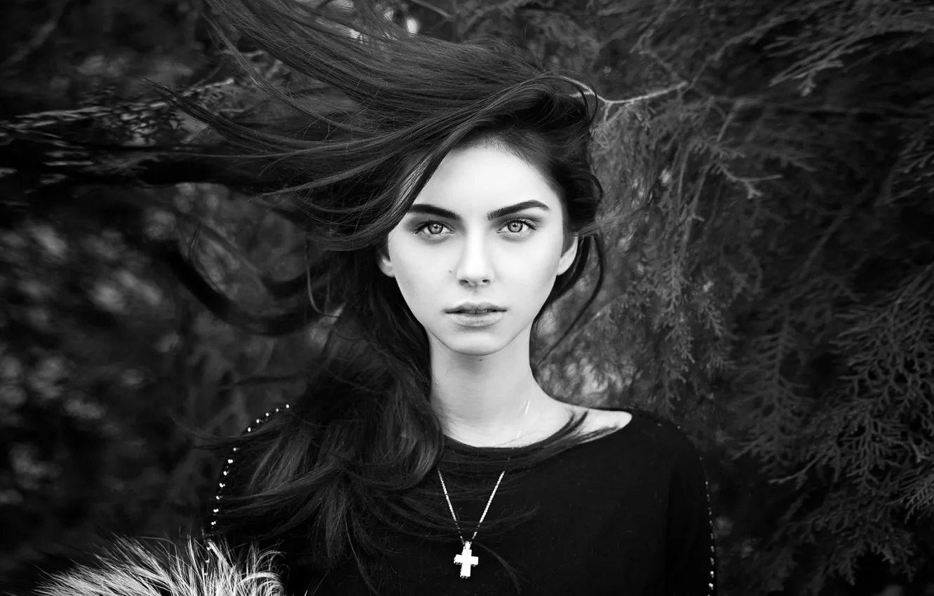 Photo wallpaper the wind, hair, portrait