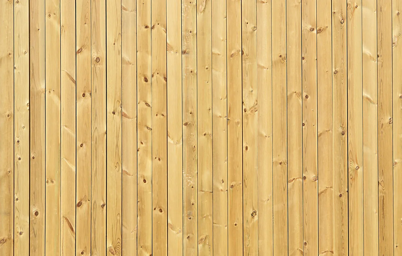 Photo wallpaper Board, nailed, fresh