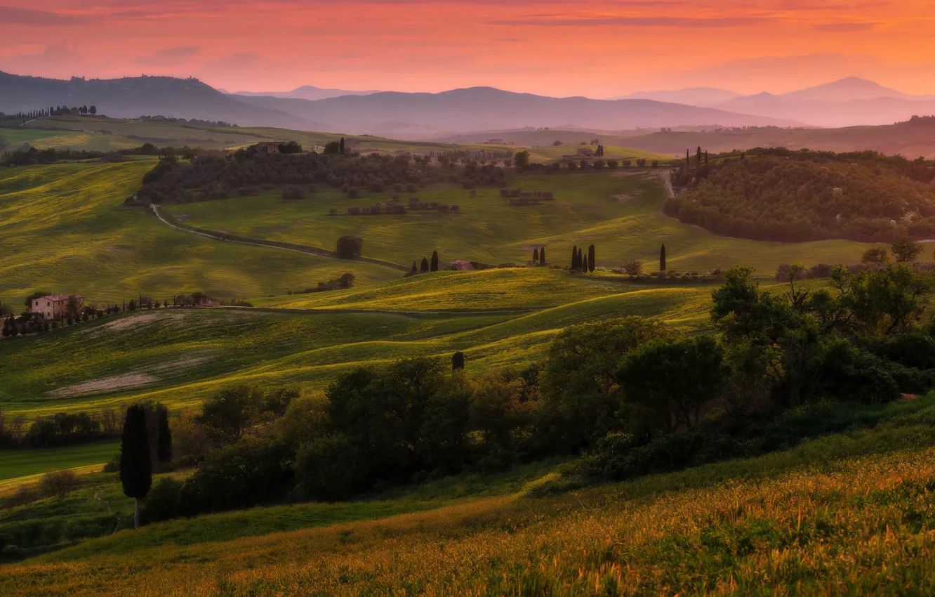 Photo wallpaper field, summer, trees, sunset, mountains, green, fog, hills