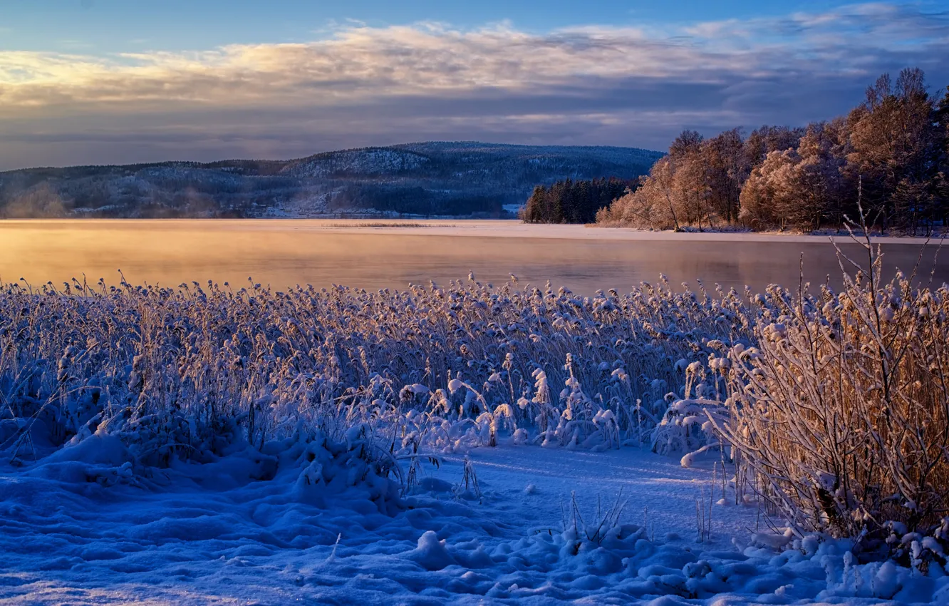 Photo wallpaper winter, snow, mountains, river, reed, Sweden, Sweden, Ongermanelven River