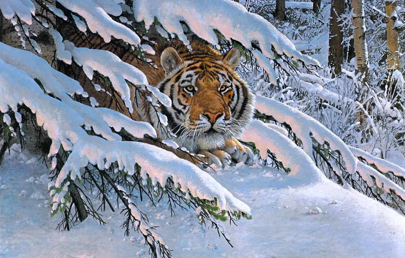 Photo wallpaper winter, forest, look, face, snow, branches, tiger, pose