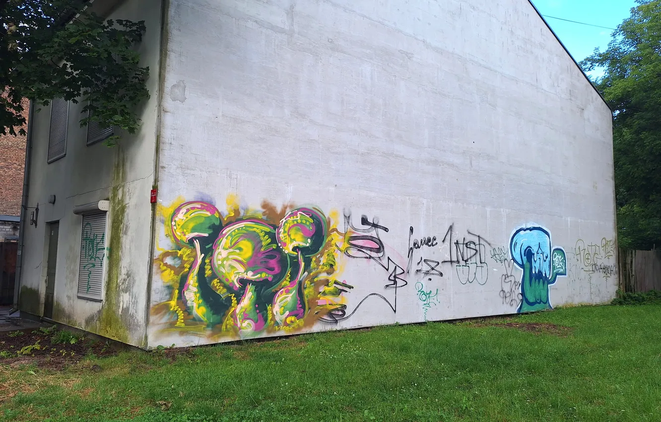 Photo wallpaper Wallpapers Latvia, Wallpapers Riga, Graffiti Latvia, Attelus Latvia