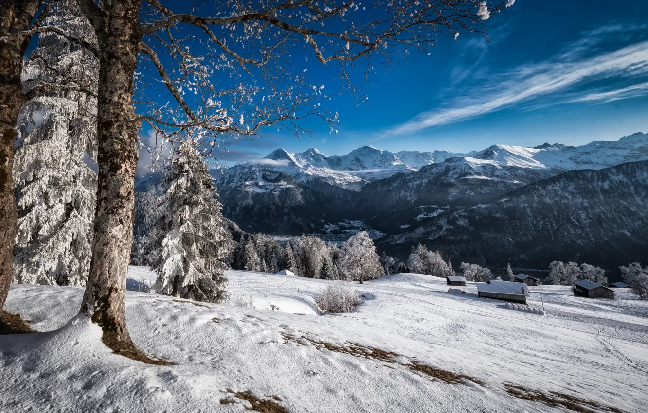Photo wallpaper winter, snow, trees, landscape, mountains, nature, home, ate