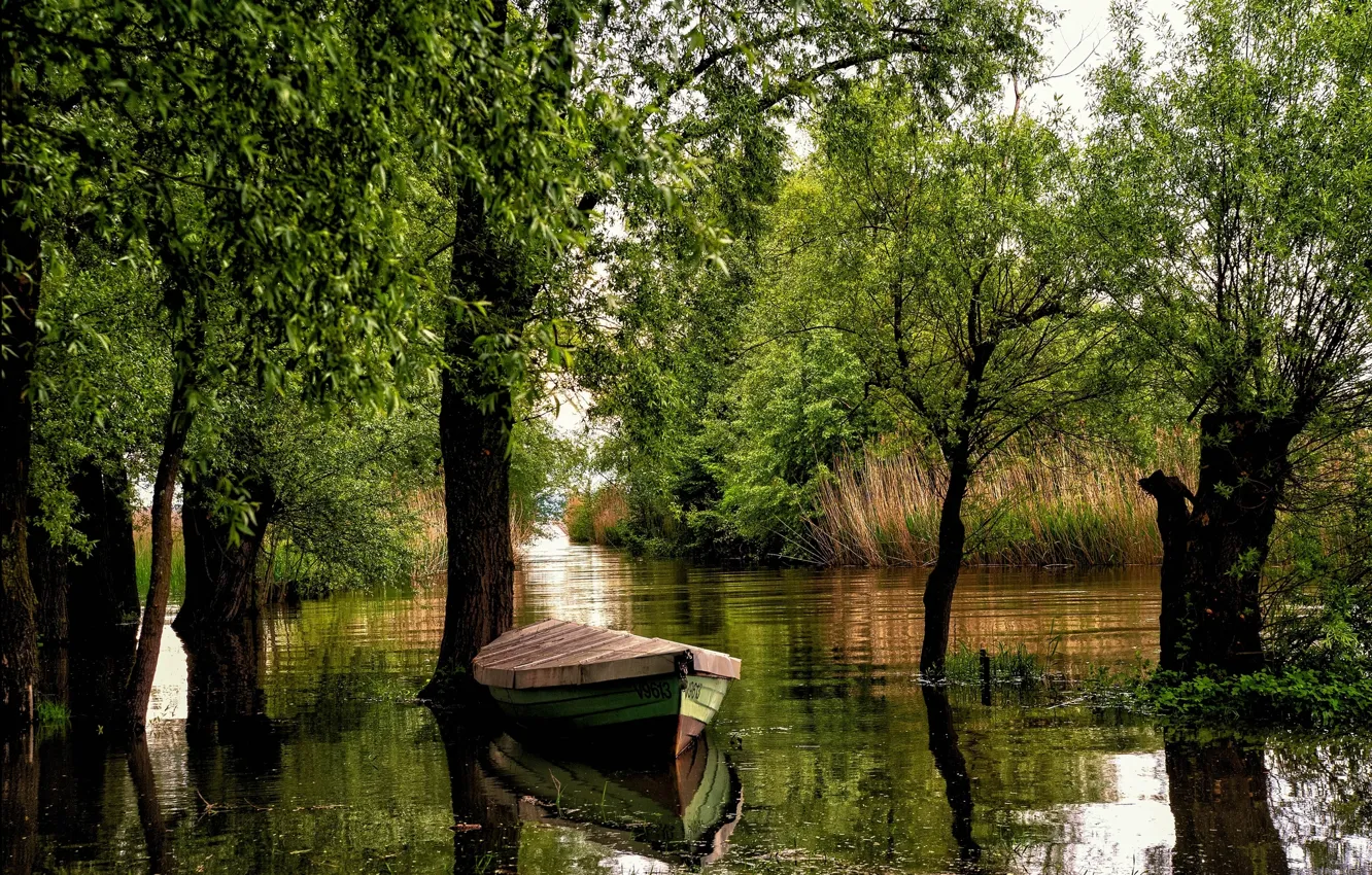Photo wallpaper trees, river, boat, Austria, Austria, Vorarlberg, Vorarlberg
