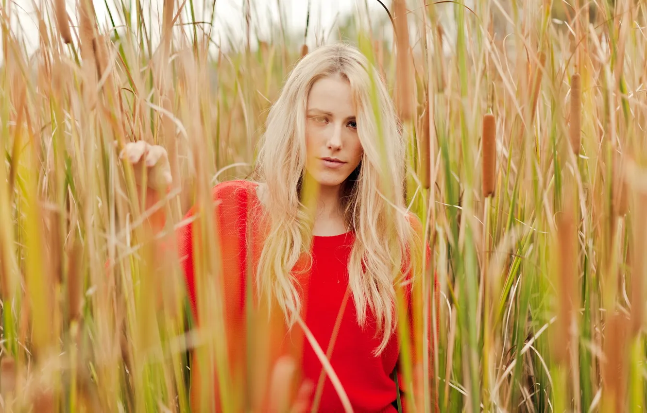 Photo wallpaper girl, nature, beauty