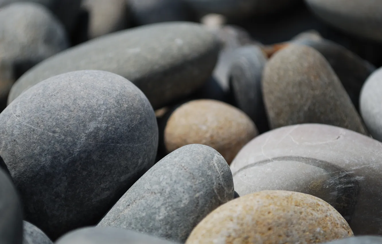 Photo wallpaper macro, pebbles, stones