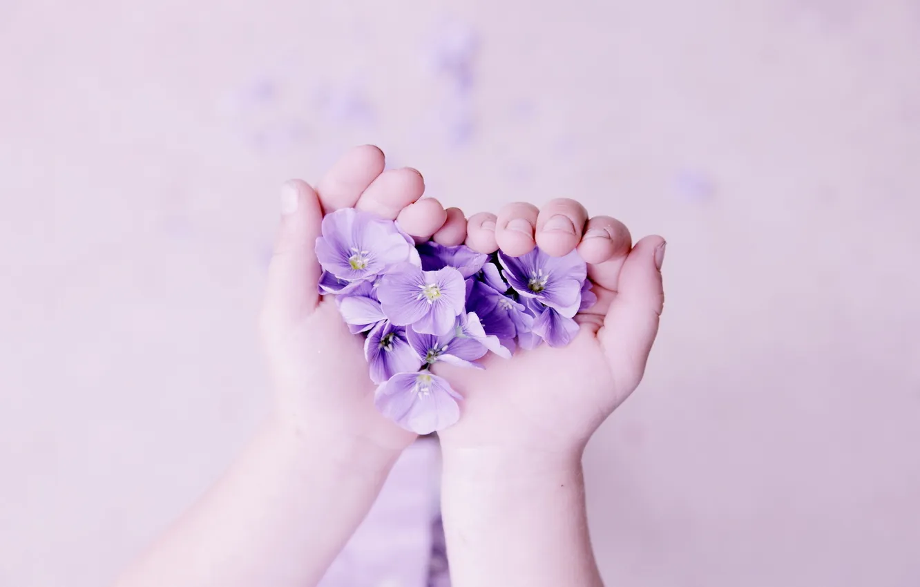 Photo wallpaper flowers, background, hands