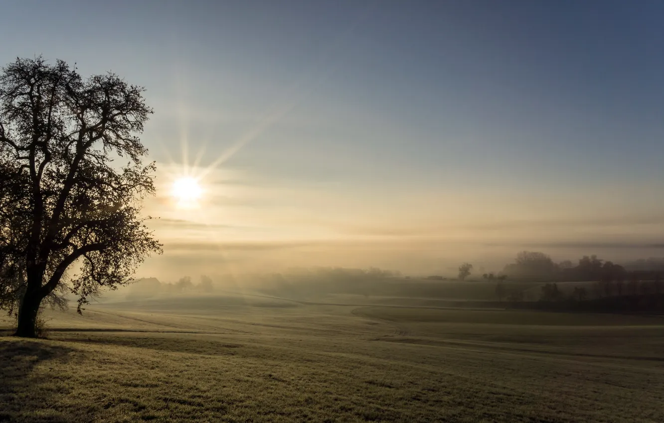 Photo wallpaper field, landscape, morning