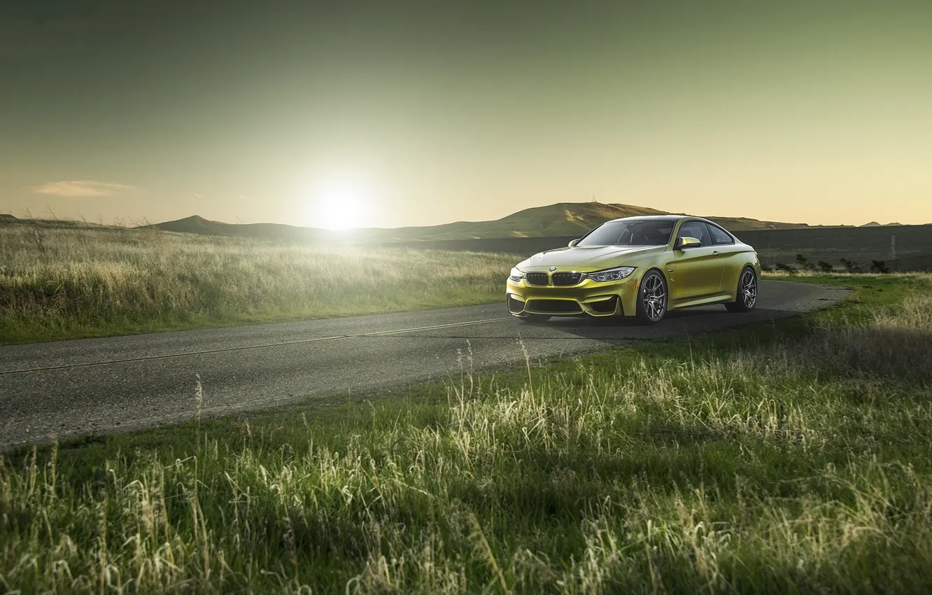 Photo wallpaper road, grass, yellow, bmw, BMW, roadside, yellow, f82