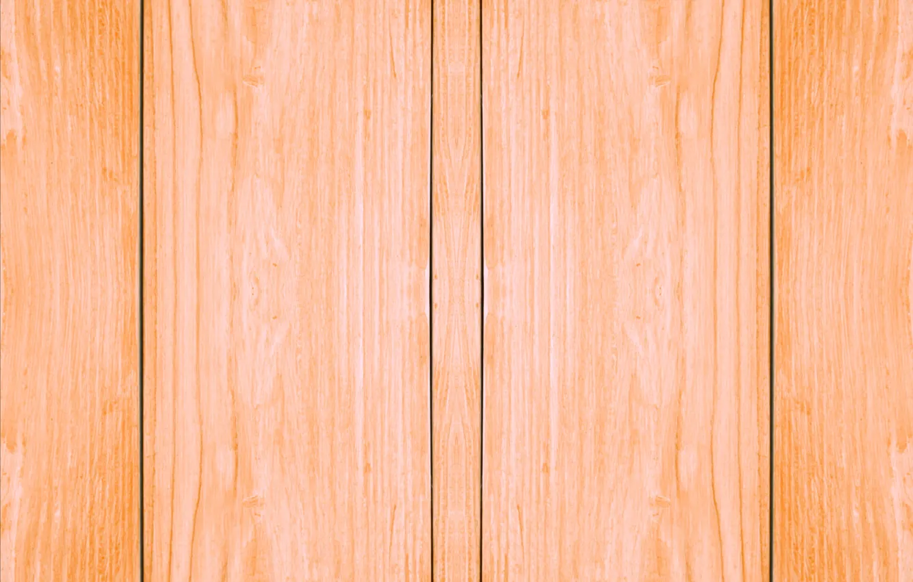 Photo wallpaper trees, Board, finish