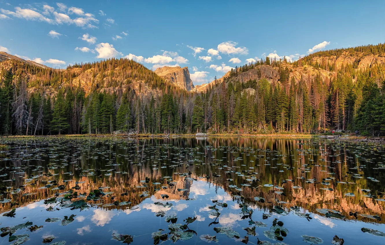 Photo wallpaper forest, clouds, light, mountains, lake, reflection, blue, shore