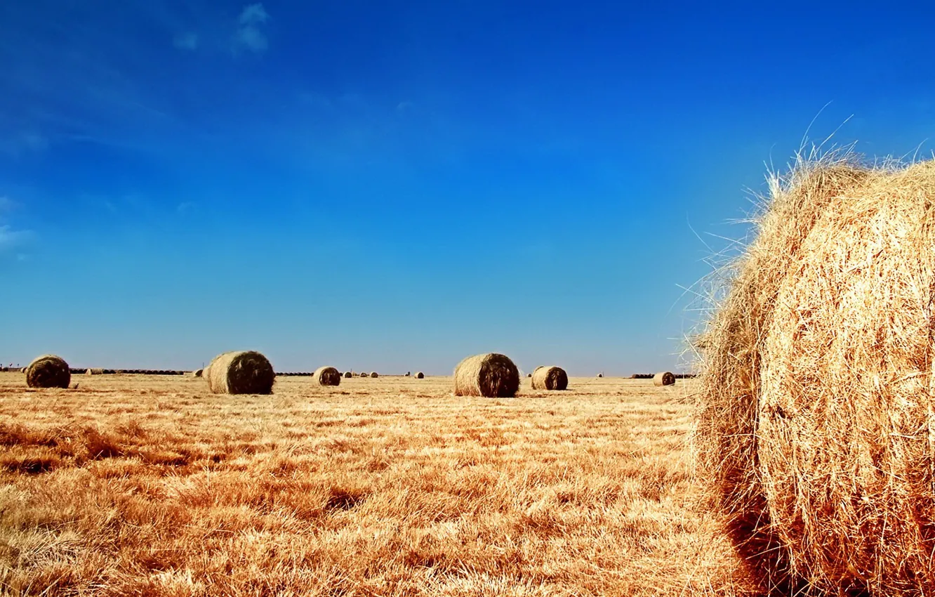 Photo wallpaper field, the sky, bales, straw
