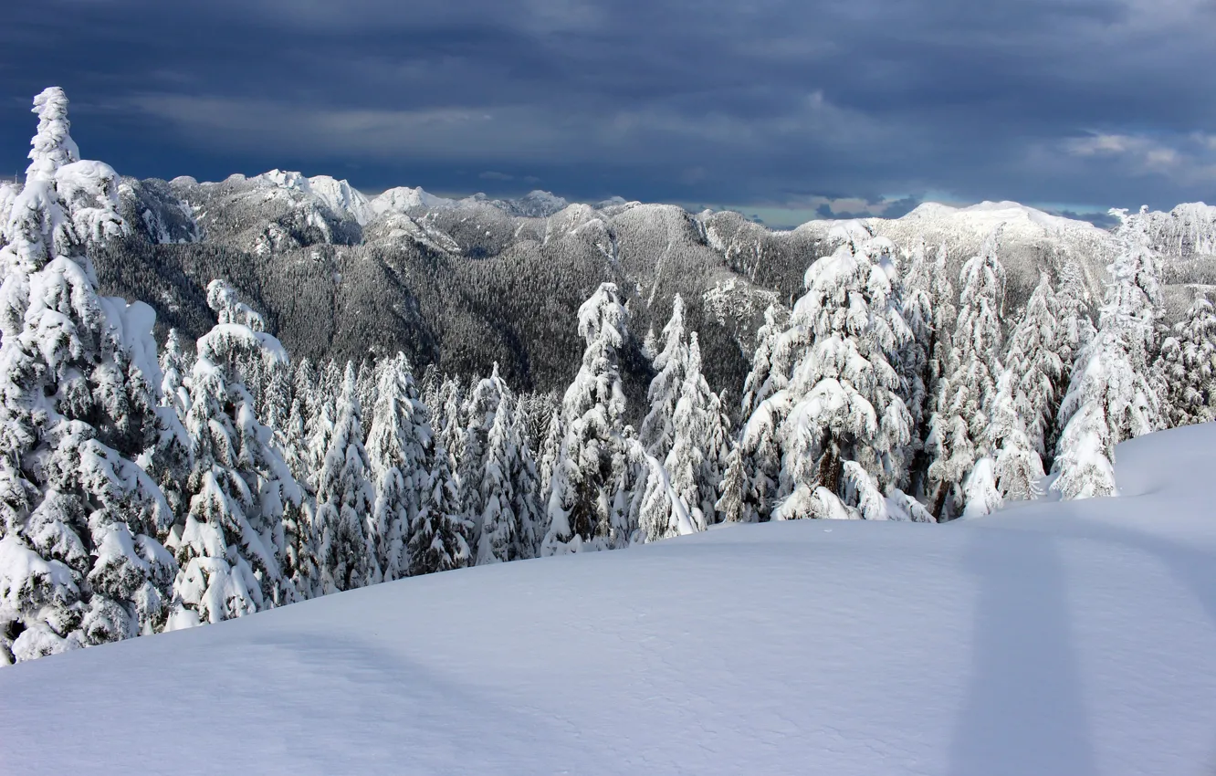 Photo wallpaper winter, snow, trees, mountains, ate, Canada, Canada, British Columbia