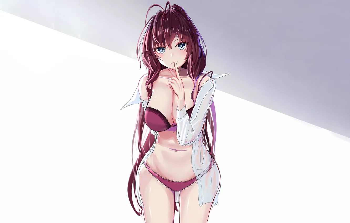 Photo wallpaper girl, sexy, lingerie, Cameltoe, bra, cleavage, panties, long hair