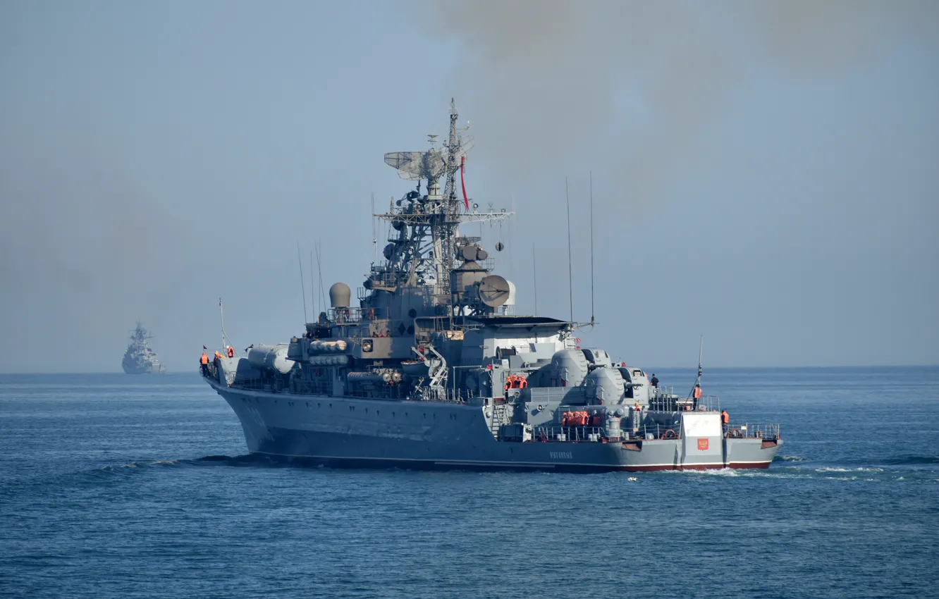 Photo wallpaper patrol, inquisitive, Author Erne