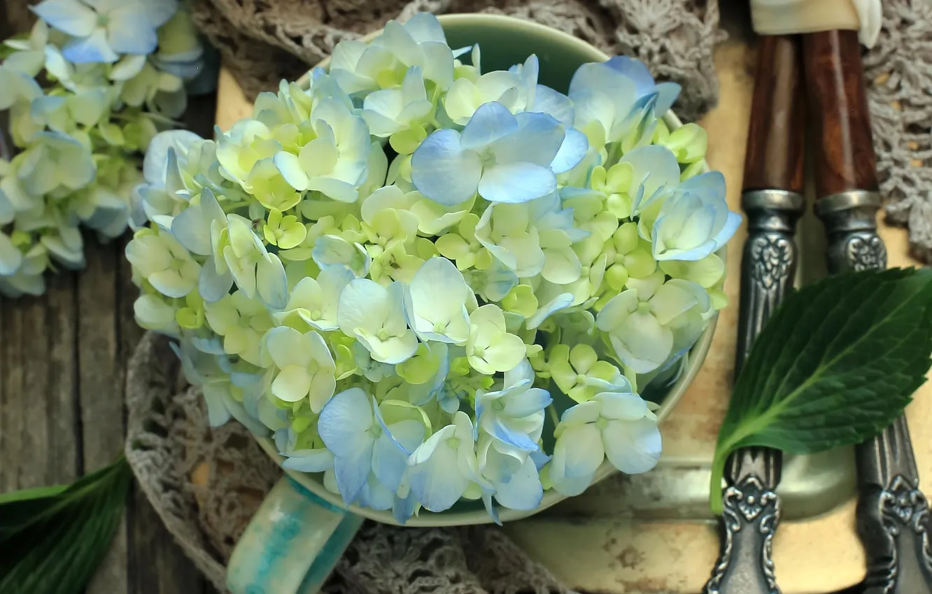 Photo wallpaper flowers, petals, Cup