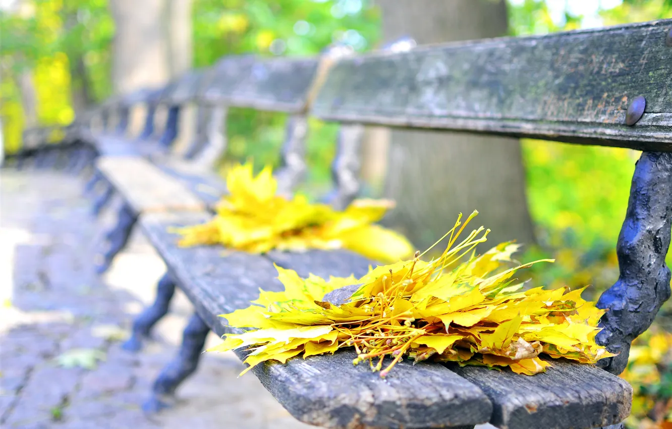 Photo wallpaper autumn, leaves, bench, nature, Park, foliage, shop, alley