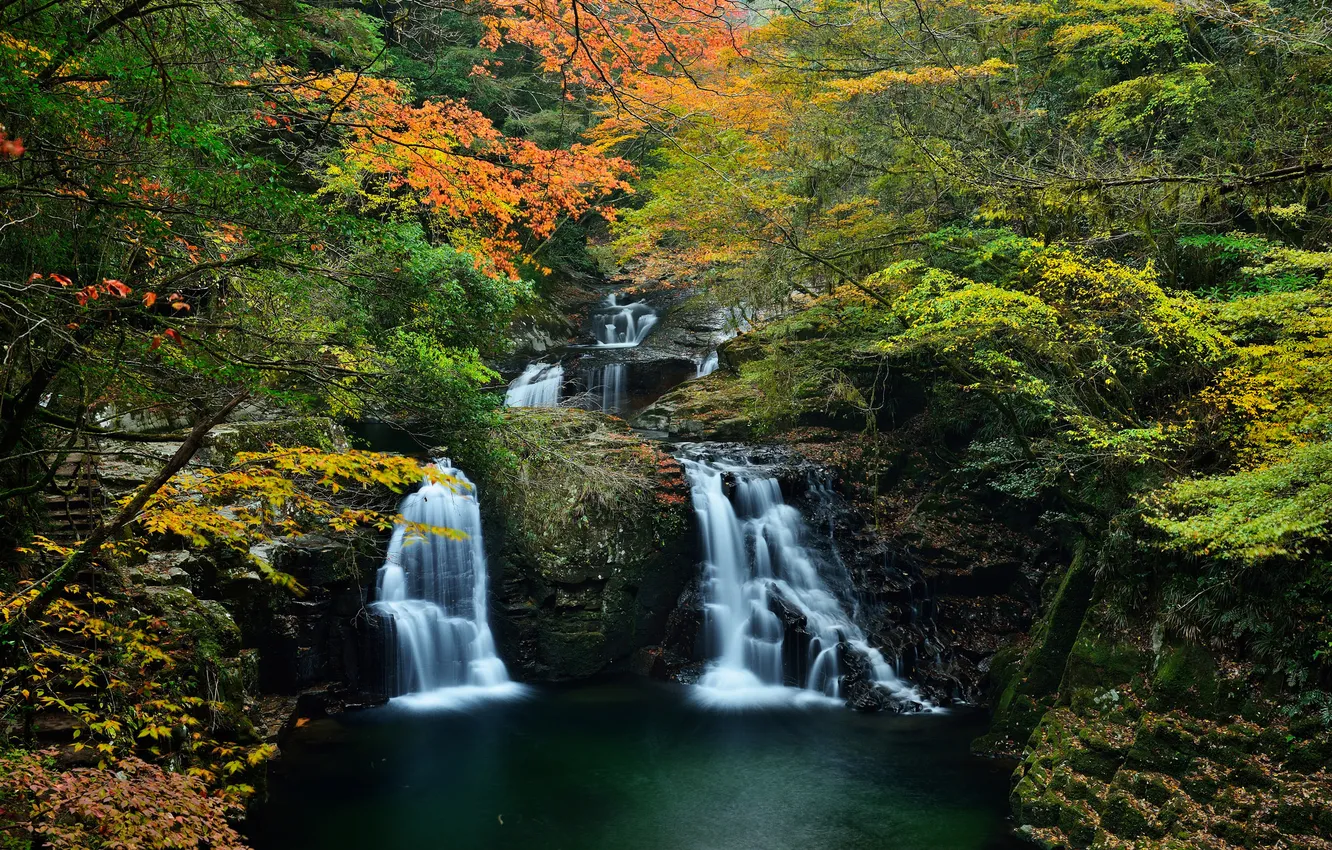 Photo wallpaper autumn, forest, trees, stream, waterfall, cancers