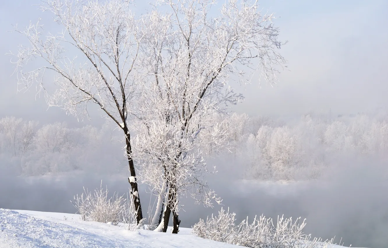 Photo wallpaper winter, snow, landscape, nature, winter