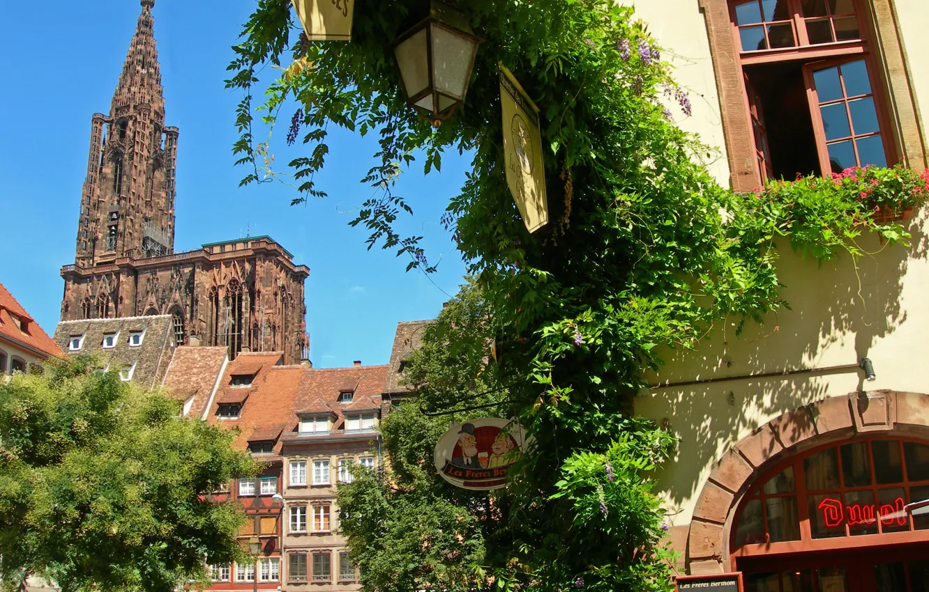 Photo wallpaper greens, France, lantern, Cathedral, Strasbourg, the ancient city