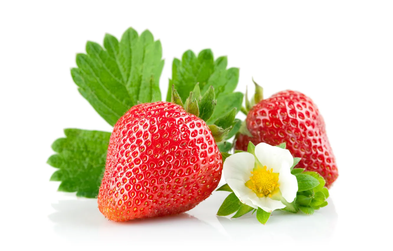 Photo wallpaper strawberry, white background, leaves, flowers