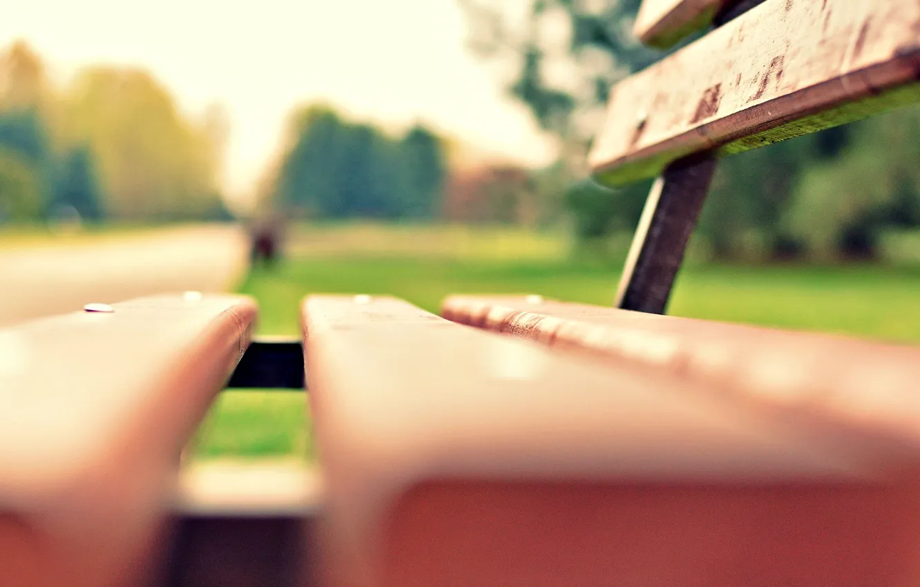 Photo wallpaper greens, grass, macro, bench, Park, background, widescreen, Wallpaper