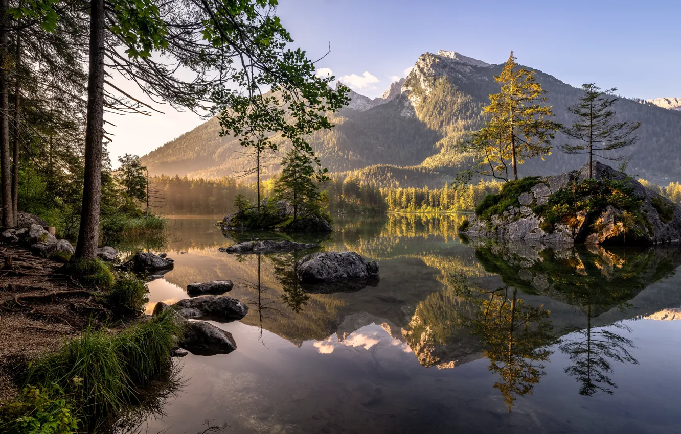 Photo wallpaper the sky, grass, leaves, trees, mountains, branches, nature, lake