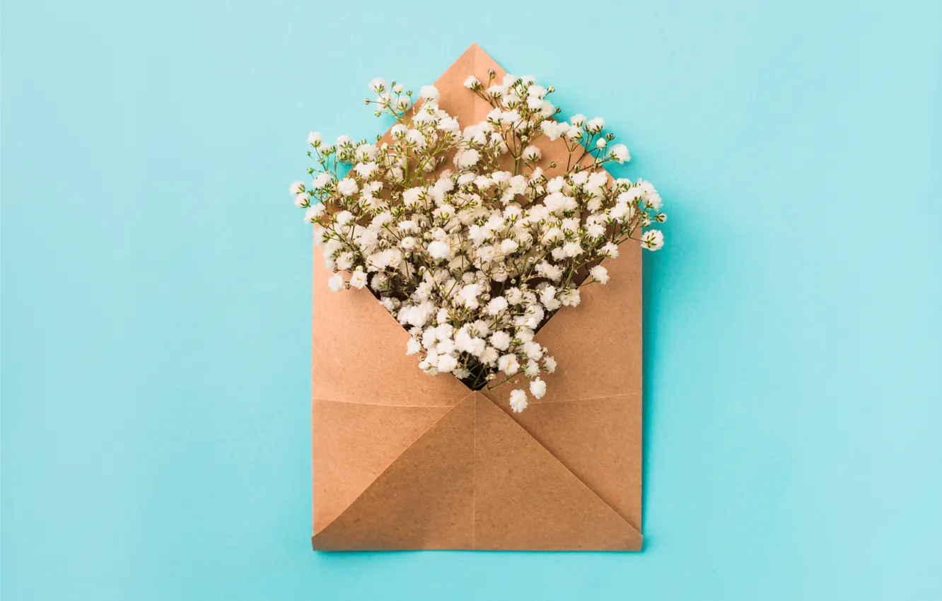 Photo wallpaper flowers, background, white, white, flowers, the envelope, spring