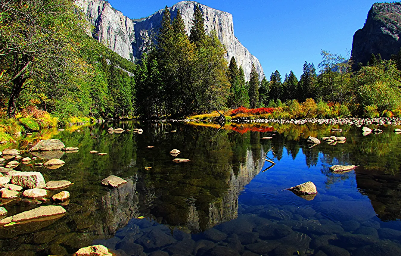 Photo wallpaper autumn, forest, trees, mountains, river, stones, CA, USA