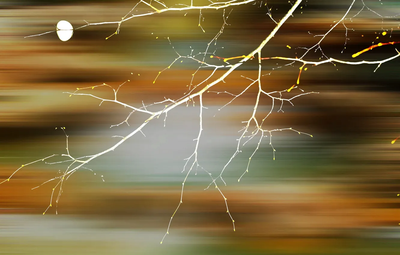 Photo wallpaper abstraction, color, form