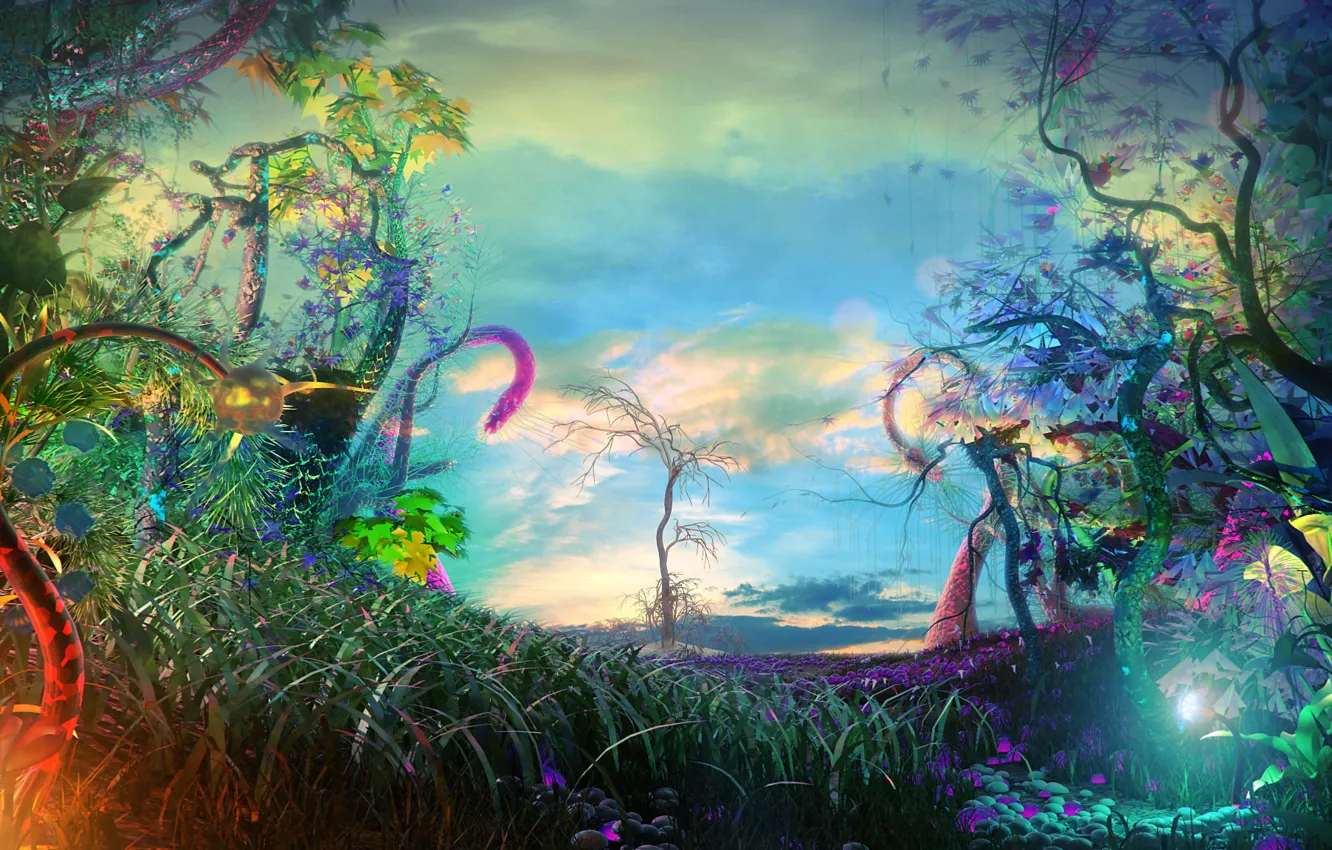 Photo wallpaper clouds, trees, flowers, nature, lights, beauty, lights, Another world