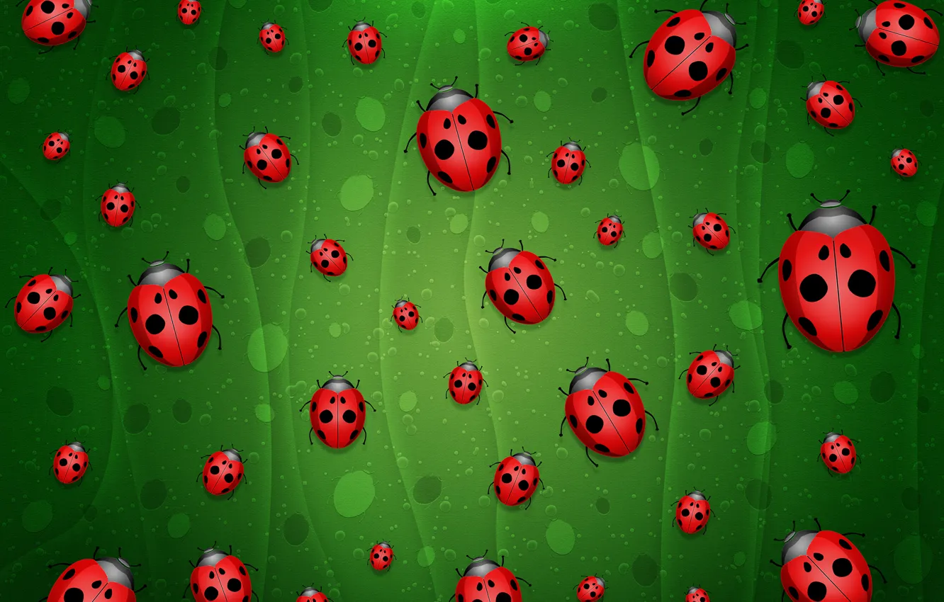 Photo wallpaper green, background, ladybugs