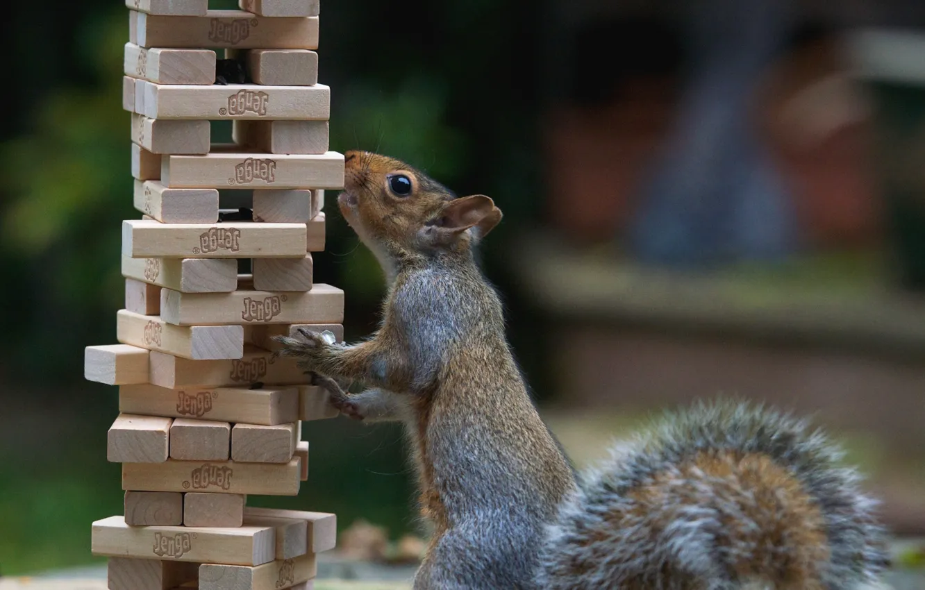 Photo wallpaper background, cubes, protein, wooden, stack, curiosity, stand, bar