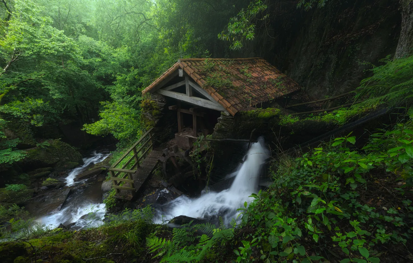 Photo wallpaper greens, forest, trees, stream, stones, waterfall, moss, house
