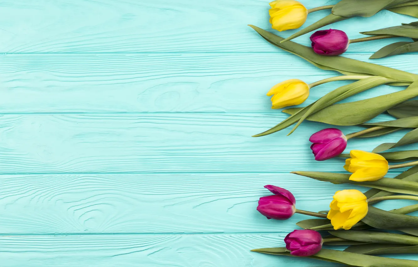 Photo wallpaper flowers, tulips, yellow, wood, flowers, tulips, spring, purple