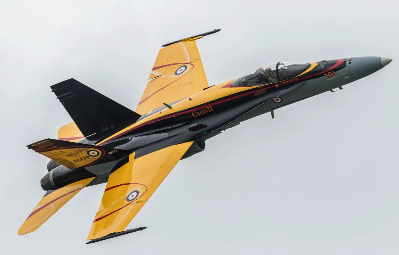 Photo wallpaper fighter, multipurpose, Hornet, Hornet, CF-18