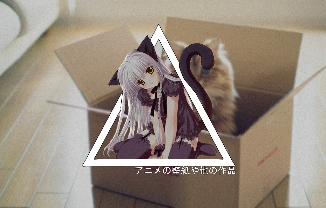 Photo wallpaper anime, cat, DxD, madskillz, koneco