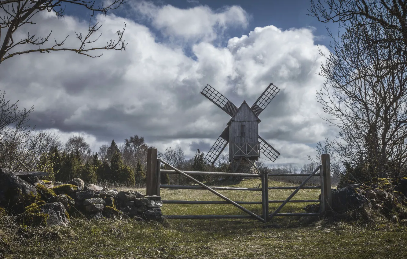 Photo wallpaper nature, mill, Saaremaa