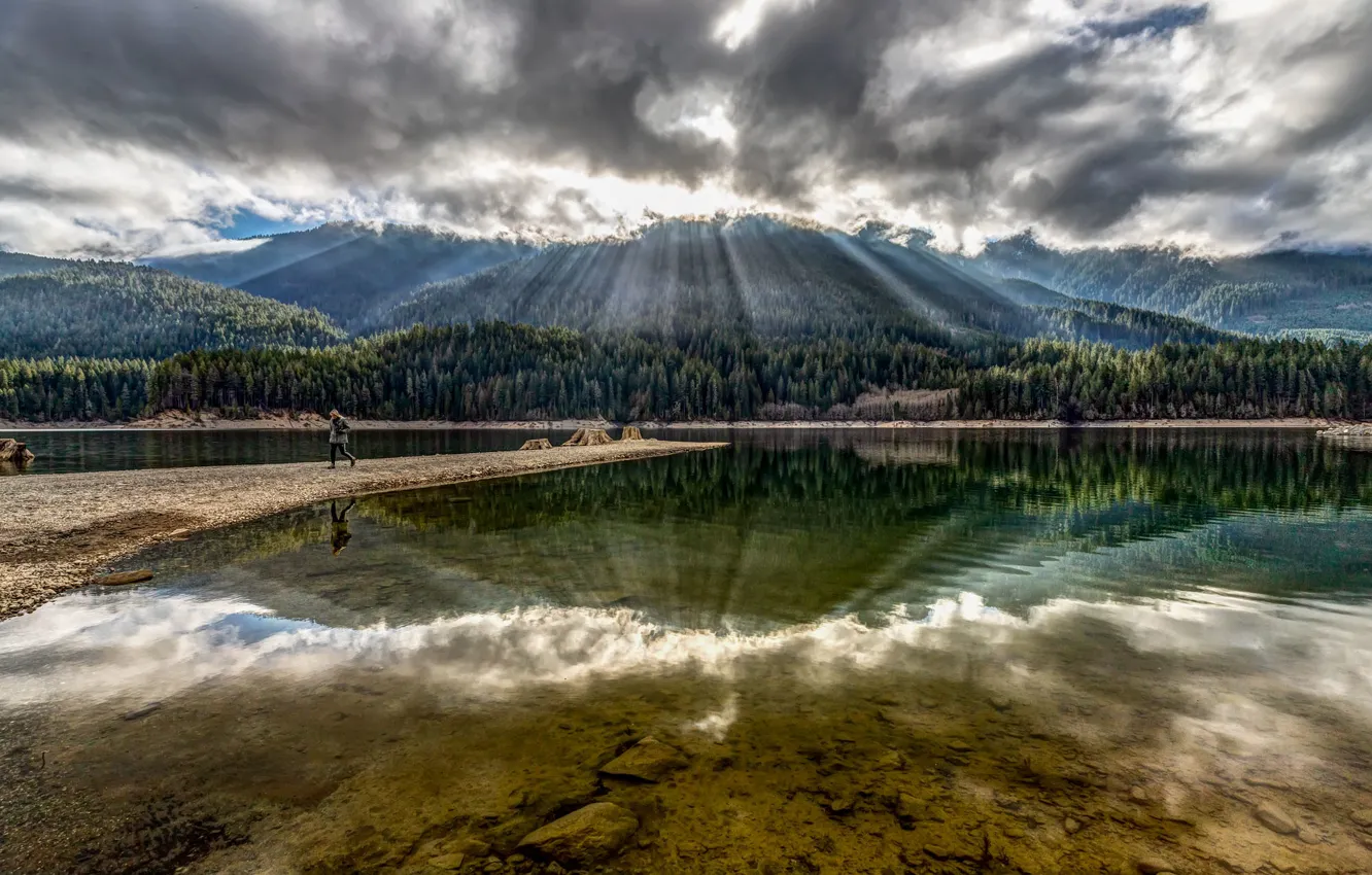 Photo wallpaper forest, lake, mountain