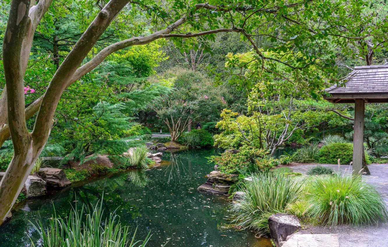 Photo wallpaper lake, Park, gazebo