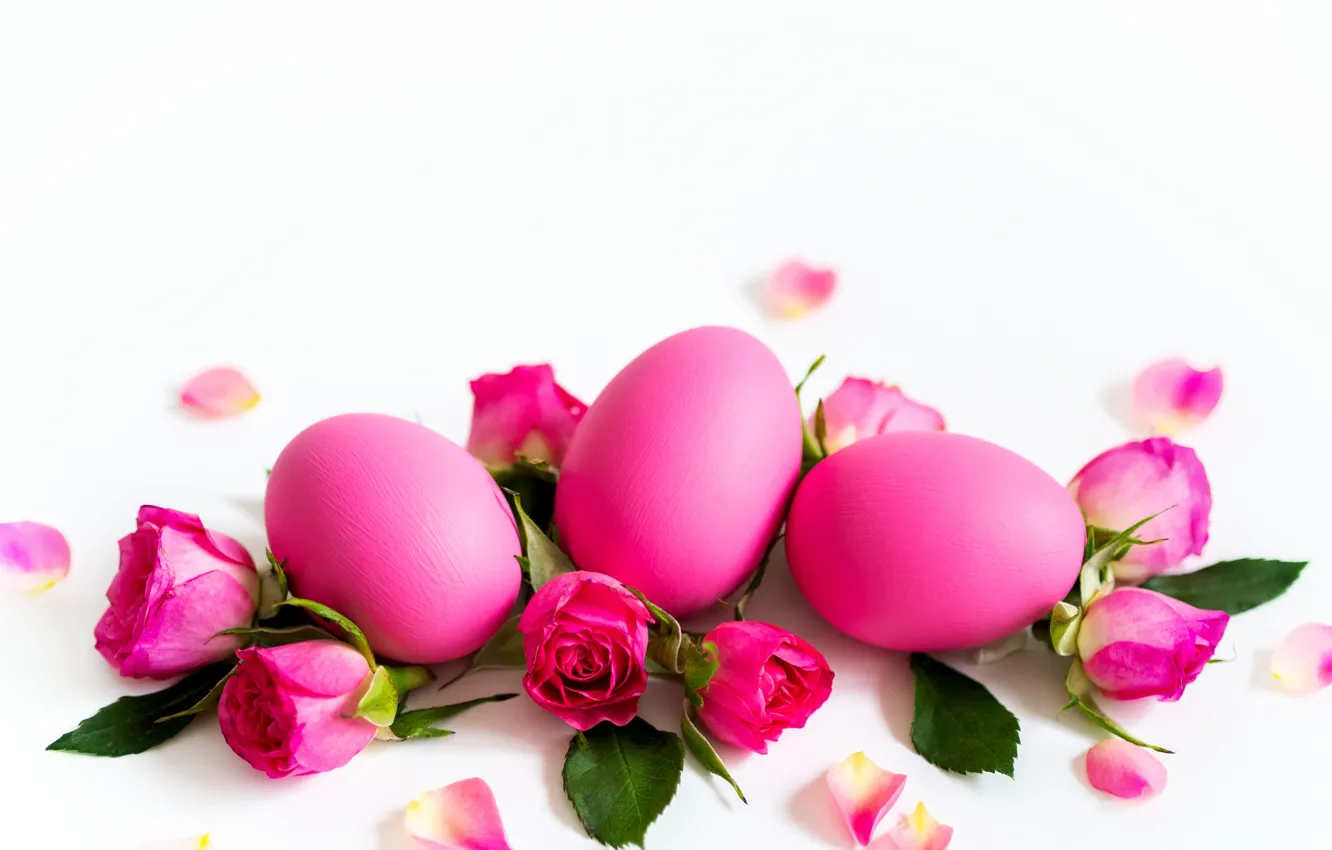Photo wallpaper flowers, holiday, roses, eggs, Easter, buds