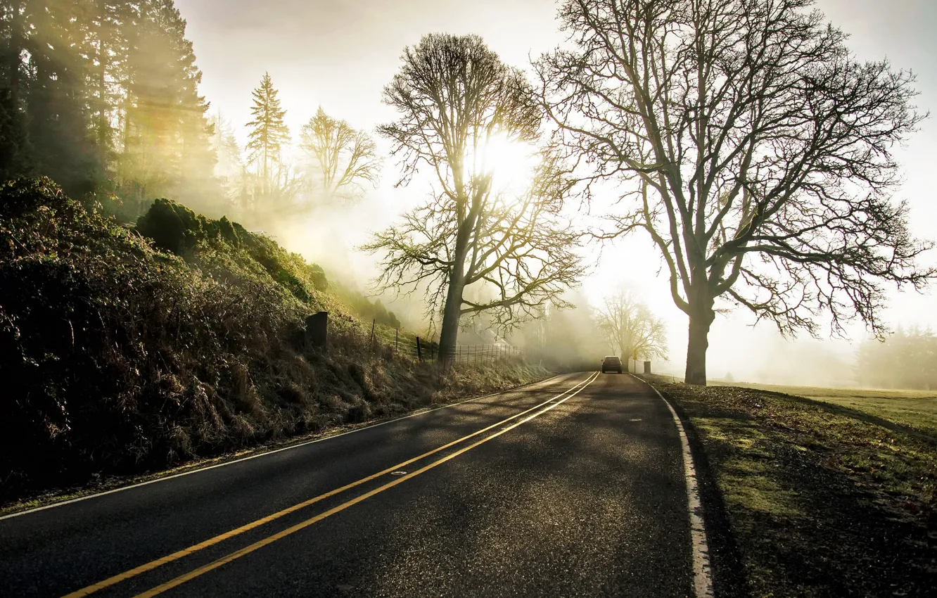 Photo wallpaper road, fog, morning