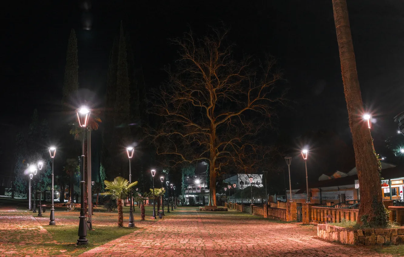 Photo wallpaper lights, Abkhazia, New Athos, evening Park